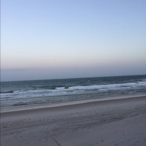 Meet your Posher, Joey